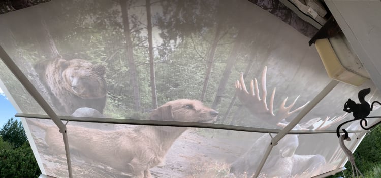 Mobirise Website Builder